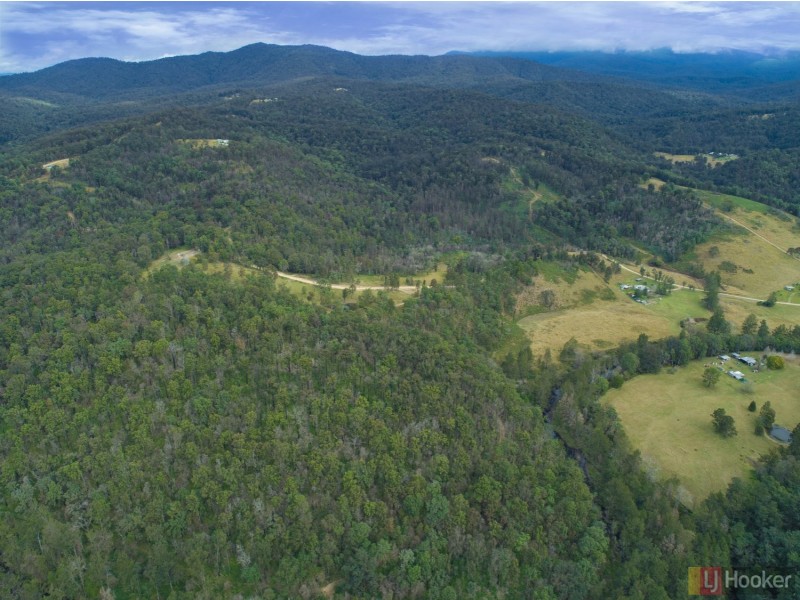 14 Dungay Creek Road, Wittitrin NSW 2440