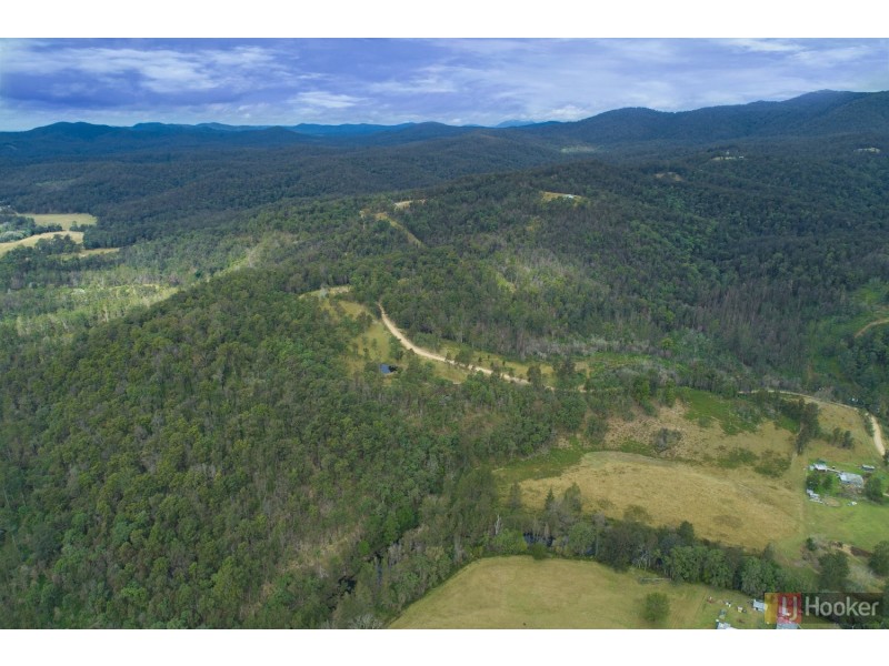 14 Dungay Creek Road, Wittitrin NSW 2440