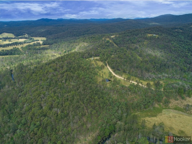 14 Dungay Creek Road, Wittitrin NSW 2440