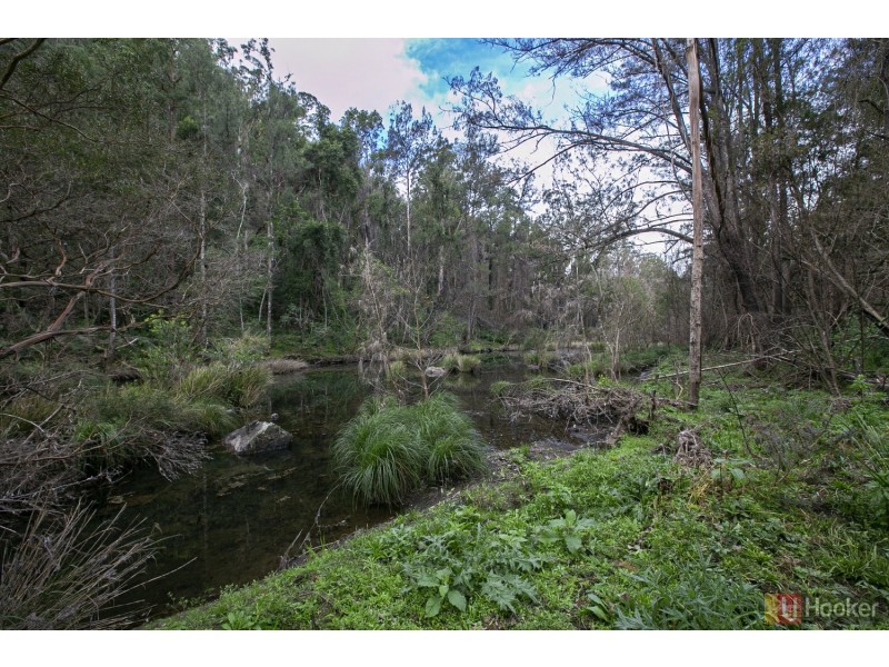 14 Dungay Creek Road, Wittitrin NSW 2440