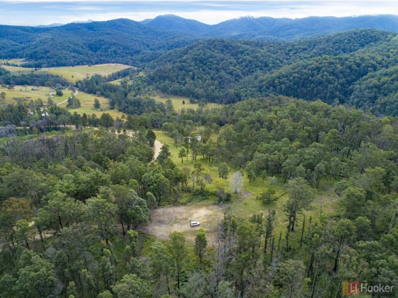 14 Dungay Creek Road, Wittitrin NSW 2440