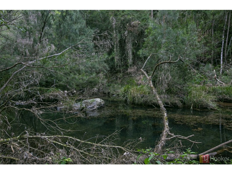 14 Dungay Creek Road, Wittitrin NSW 2440