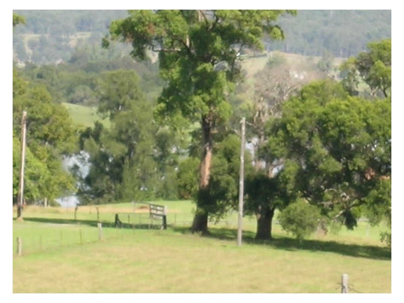 8 Harold Hughes Place, West Kempsey NSW 2440