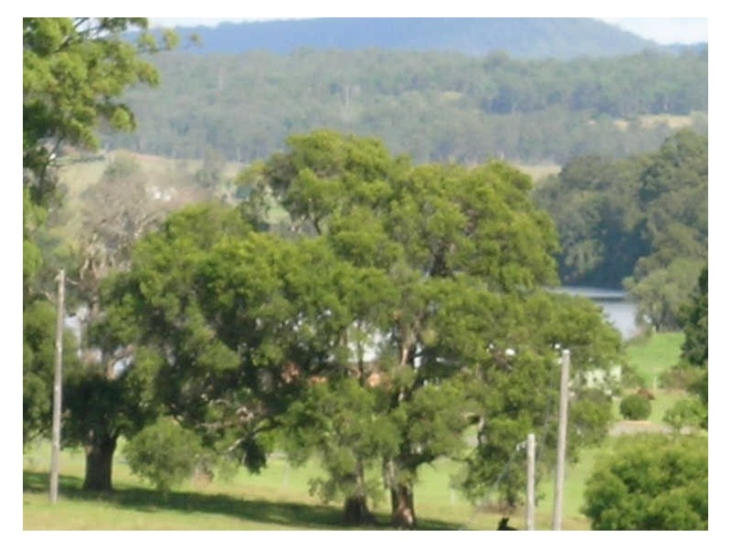8 Harold Hughes Place, West Kempsey NSW 2440