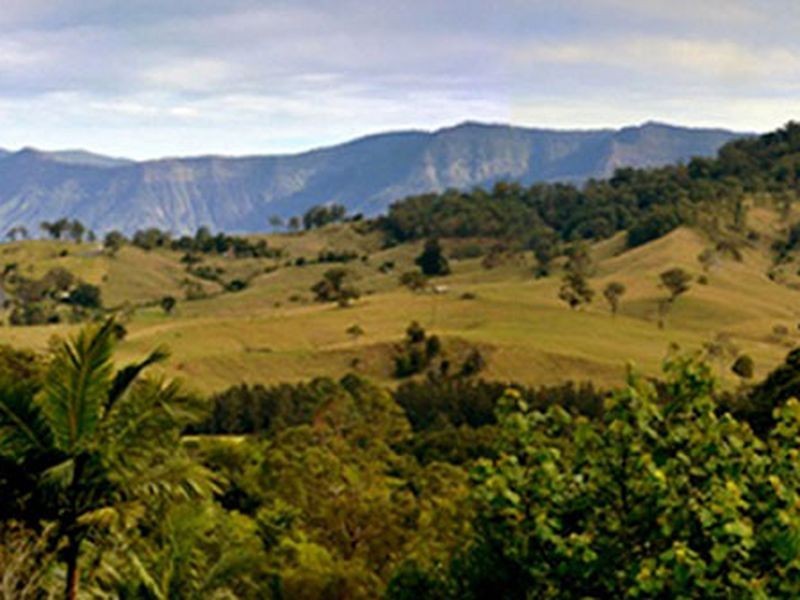 531 Zara Road, Murwillumbah NSW 2484