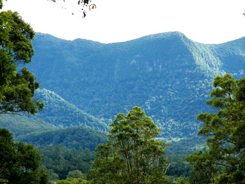 531 Zara Road, Murwillumbah NSW 2484