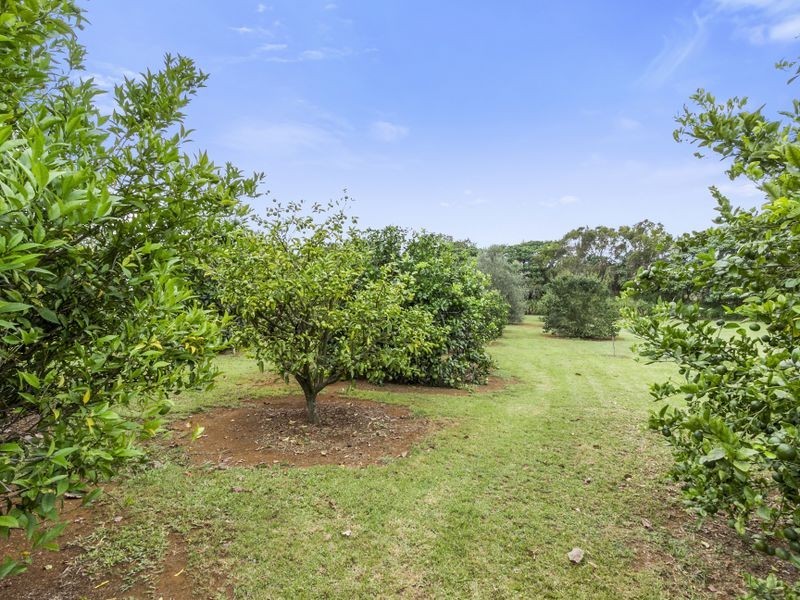 542 Cudgen Road, Cudgen NSW 2487