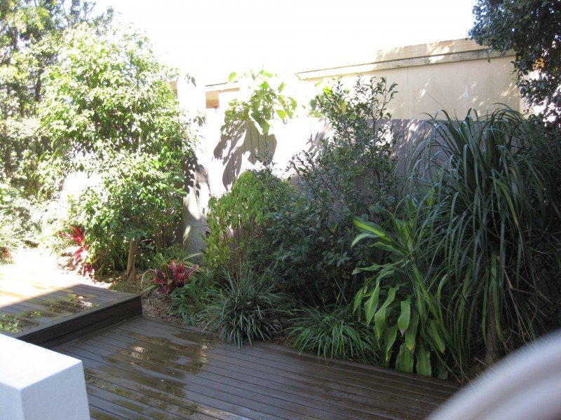 1/4 Kingscliff Street, Kingscliff NSW 2487