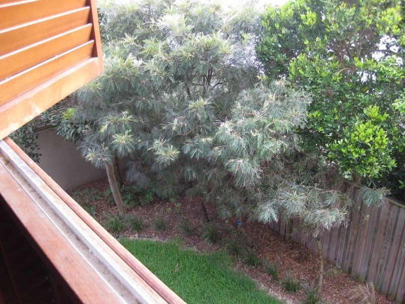 2/5 Dianella Drive, Casuarina NSW 2487