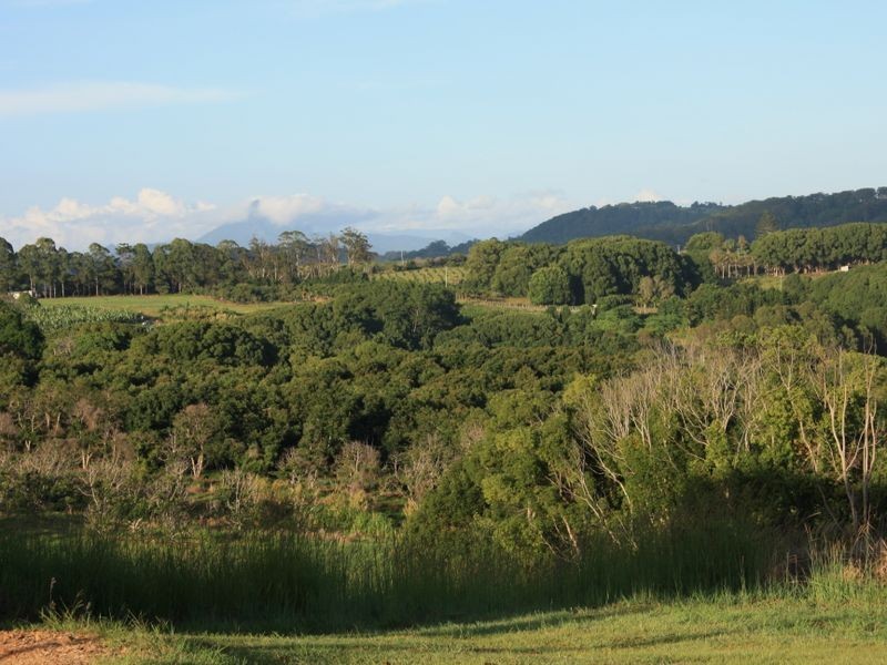 613 Duranbah Rd, Duranbah NSW 2487