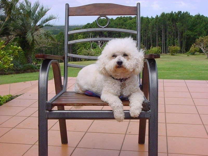 249 Duranbah Rd, Duranbah NSW 2487