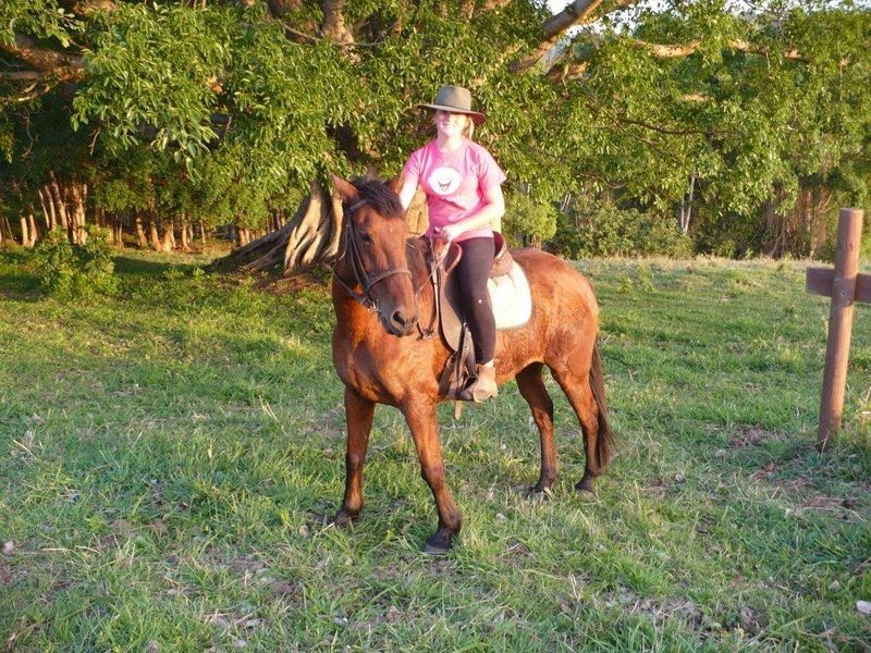 249 Duranbah Rd, Duranbah NSW 2487