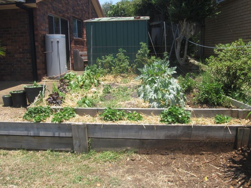 27 Martinelli Avenue, Banora Point NSW 2486