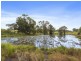 155 Tweed Coast Road, Cudgen NSW 2487