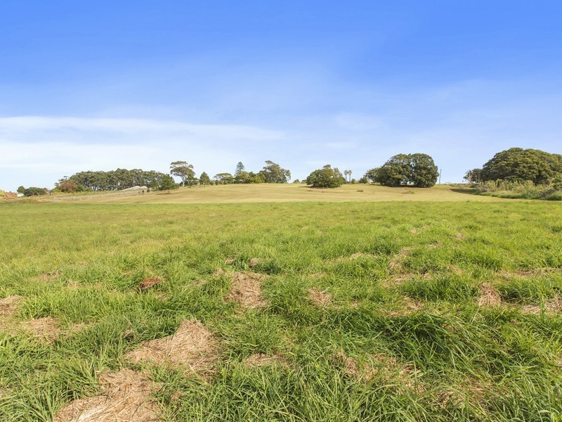 155 Tweed Coast Road, Cudgen NSW 2487