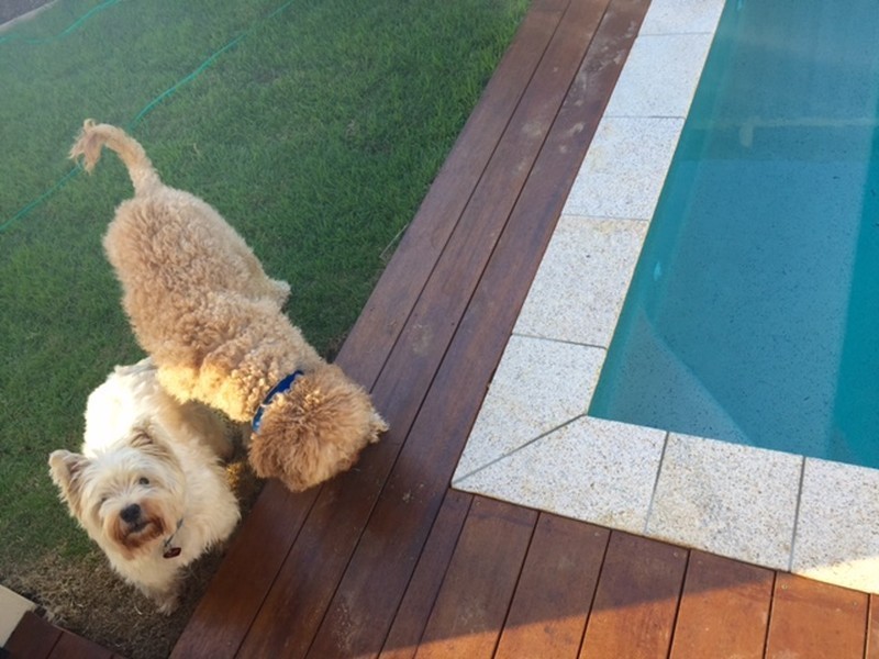 14 Seaside Drive, Kingscliff NSW 2487