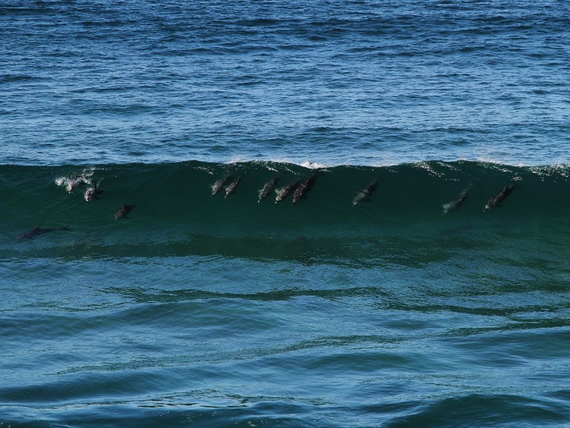 3/32 Bambery Street, Fingal Head NSW 2487