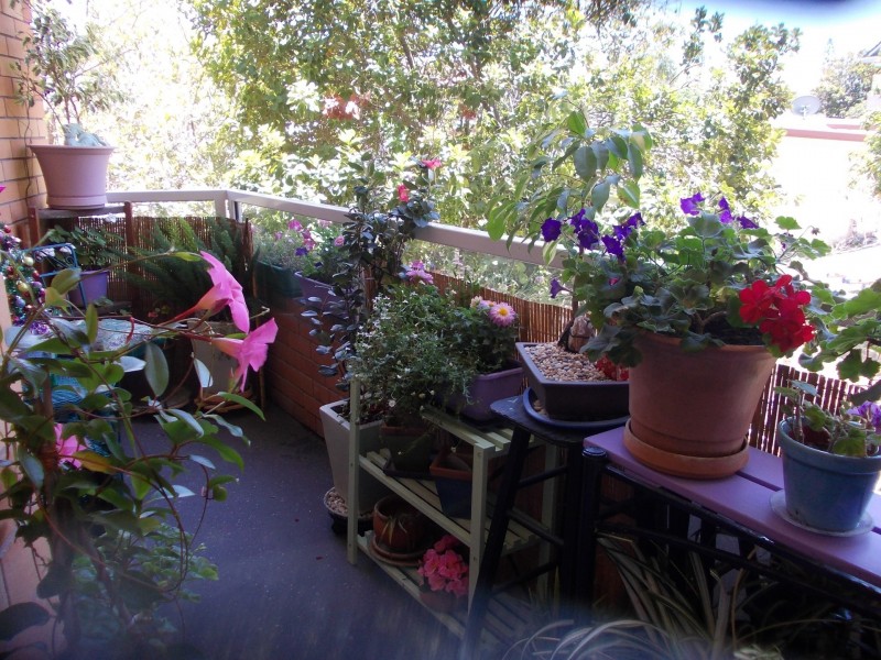 4/39 Kingscliff Street, Kingscliff NSW 2487