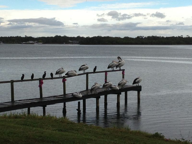 5/111 Old Pacific Highway (3-7 Bimba, Banora Point NSW 2486