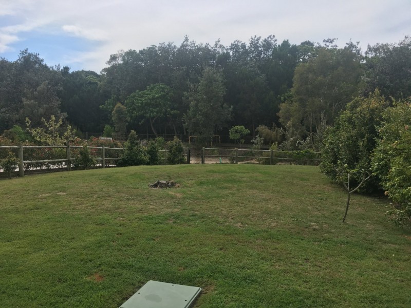 17 Dryandrus Court, Casuarina NSW 2487