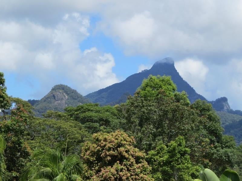 59 Clareville Road,, Uki NSW 2484