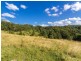 241 Palmvale Road, Palmvale NSW 2484