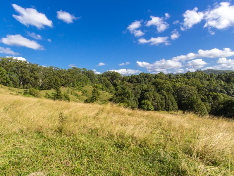 241 Palmvale Road, Palmvale NSW 2484