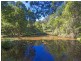 241 Palmvale Road, Palmvale NSW 2484
