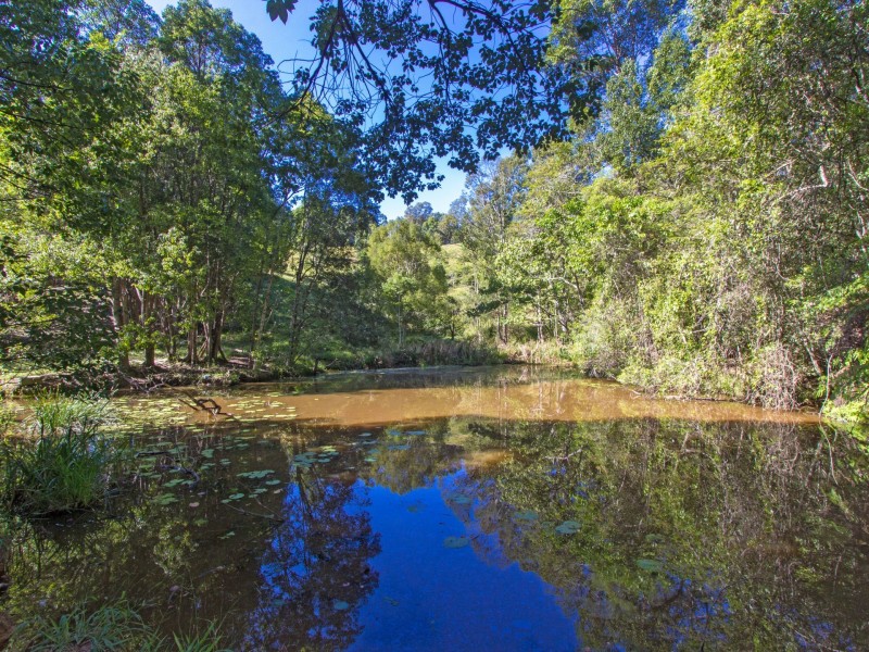 241 Palmvale Road, Palmvale NSW 2484