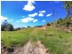 241 Palmvale Road, Palmvale NSW 2484