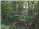 241 Palmvale Road, Palmvale NSW 2484