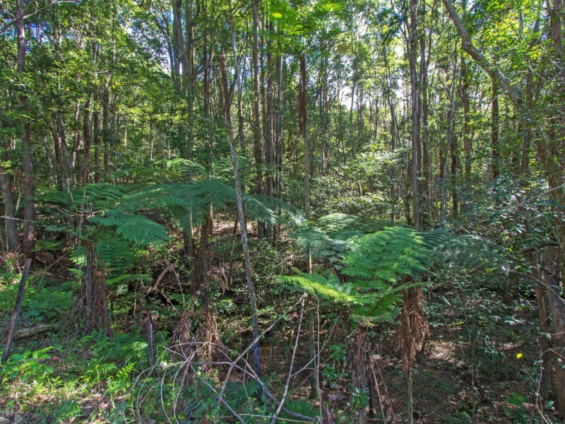 241 Palmvale Road, Palmvale NSW 2484