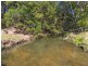 241 Palmvale Road, Palmvale NSW 2484
