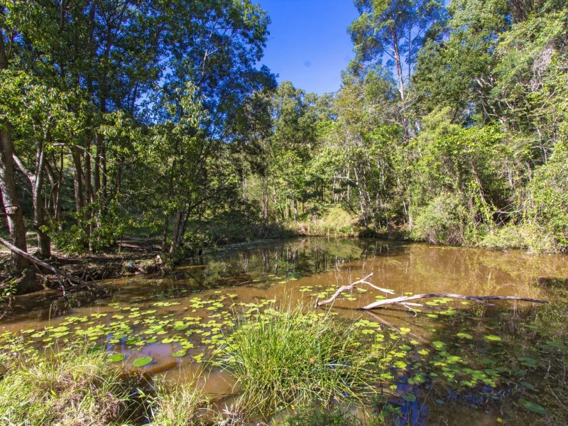 241 Palmvale Road, Palmvale NSW 2484