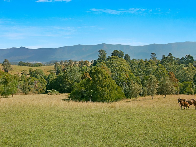 29 Turpentine Place, Tyalgum NSW 2484