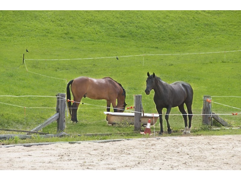 19 Raven Place, Clothiers Creek NSW 2484