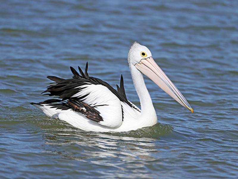 6/5 Quayside Court, Tweed Heads NSW 2485