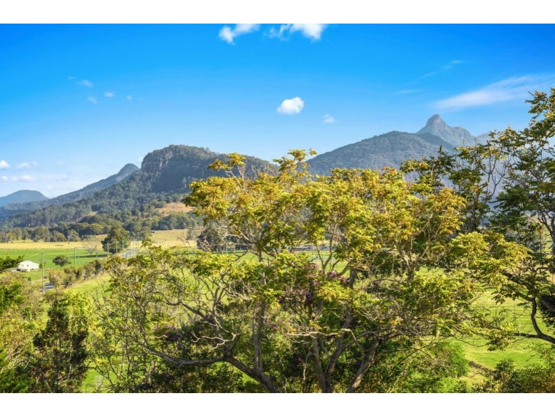 440 Kyogle Road, Murwillumbah NSW 2484