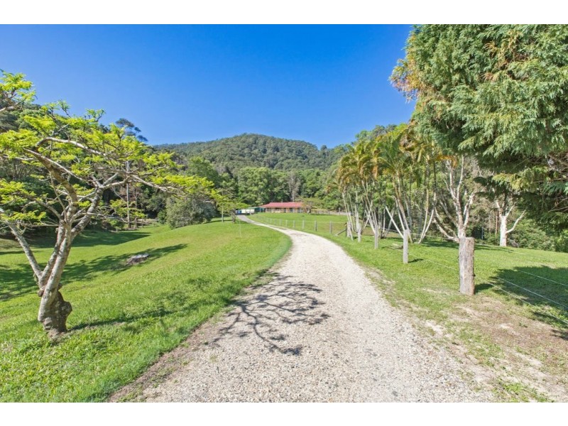 69 Hoop Pine Road, Dulguigan NSW 2484