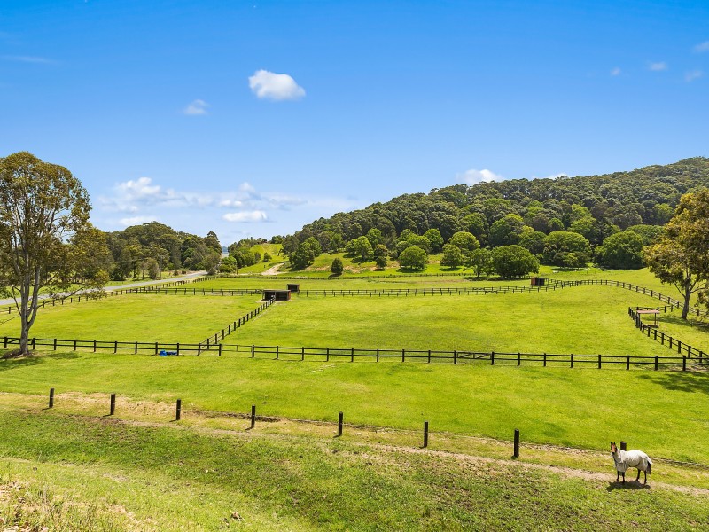 270 Round Mountain Road, Round Mountain NSW 2484