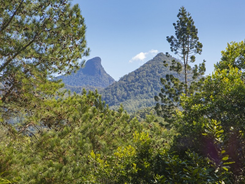 6 Smiths Creek Road, Uki NSW 2484