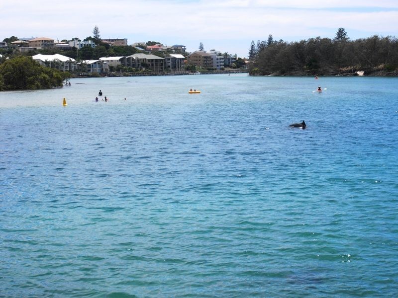 1/31 Moss Street, Kingscliff NSW 2487