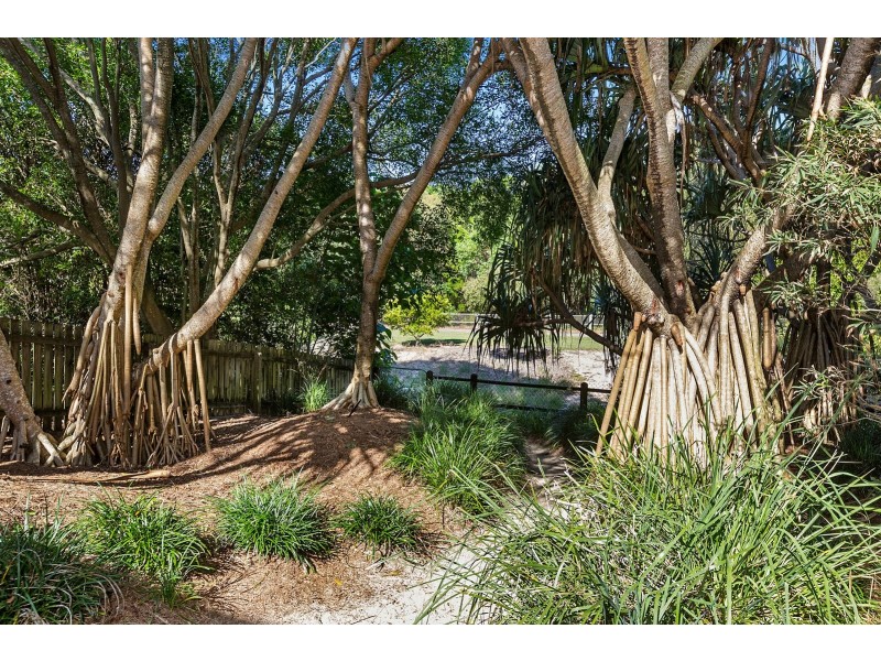 29 Beech Lane, Casuarina NSW 2487