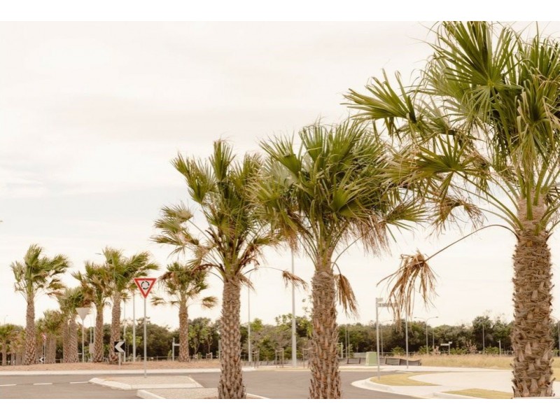 Lot 47 Casuarina Way, Casuarina NSW 2487