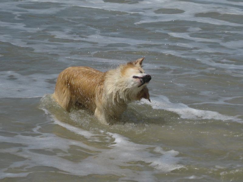 13 Shipstern Street, Kingscliff NSW 2487