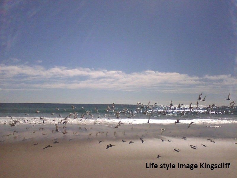 6 Bellbird Drive, Kingscliff NSW 2487