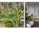 11 She-Oak Lane, Casuarina NSW 2487
