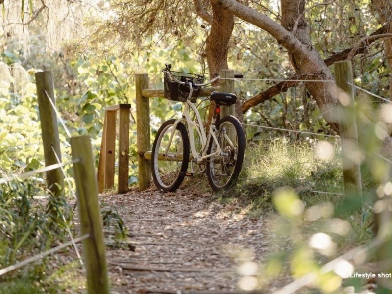 39 Habitat Drive, Casuarina NSW 2487