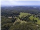 226 Round Mountain Road, Round Mountain NSW 2484