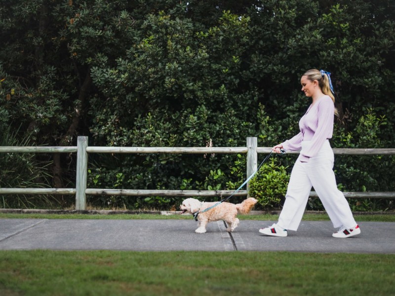 35 Habitat Drive, Casuarina NSW 2487